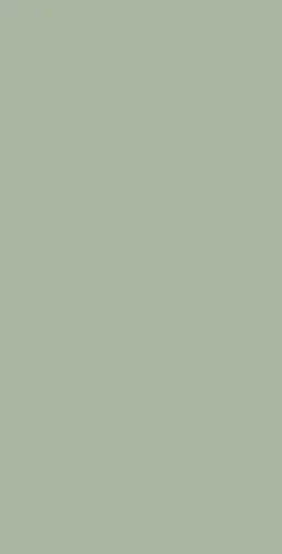 Olive matt